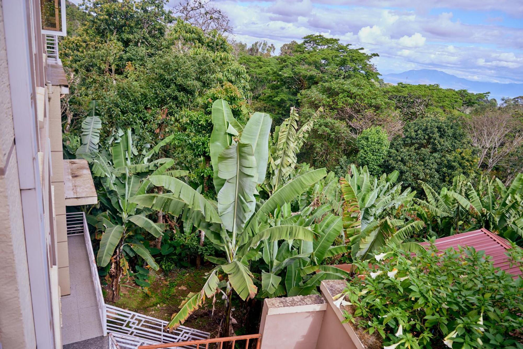 Kilimanjaro Foothills Getaway Hotel Moshi Exterior photo